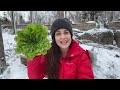 Video for Kalebration Kale Mix