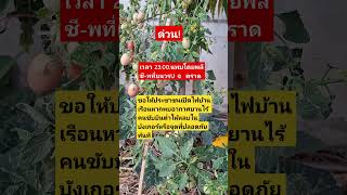 Download lagu #remix #dj #edm #music #sound #automobile #plants #colonelkkjϟ #thaifood #mindset mp3 Download lagu #remix #dj #edm #music #sound #automobile #plants #colonelkkjϟ #thaifood #mindset mp3