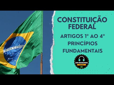 PRINCÍPIOS FUNDAMENTAIS - CONSTITUIÇÃO FEDERAL - ARTIGOS 1º AO 4º CF