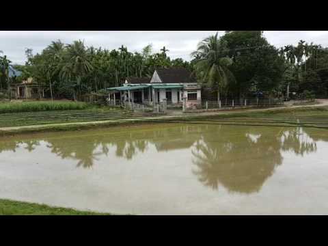 Danang Train To Nha Trang 3