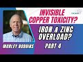 Your Blood Tests Are Lying About Iron, Zinc & Copper Levels - Morley Robbins Part 4