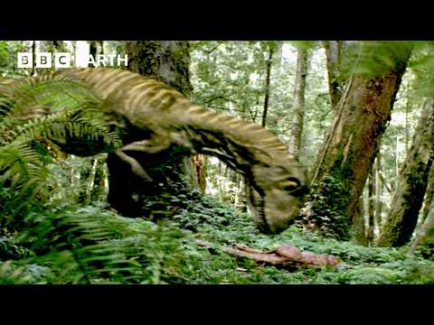 Leaellynasaura Clan Face Devastating Blow | Walking With Dinosaurs (1999) | BBC Earth