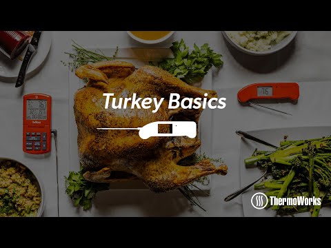 How to Cook a Turkey: Thaw, Brine & Oven Basics!