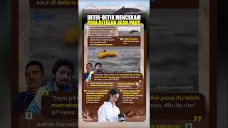 Bak Film Aksi! Detik-detik Menegangkan Pria Ditelan Ikan Paus di Laut Chili, Beruntung Masih Selamat