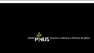 Centro PINUS 20 ANOS
