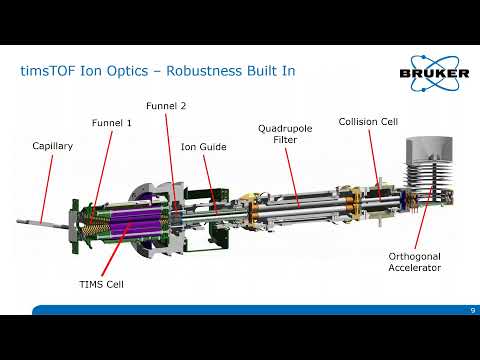 New dimension of polymer analysis – timsTOF fleX workflows and capabilities