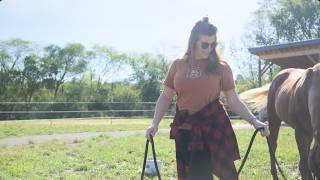 Horses on the Hill — produced by Boonrise for SonLight Power