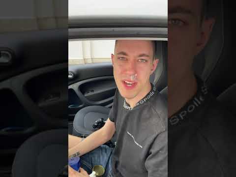 Der lange Aal schlackert im Nebel der Schlacht | Filow #Shorts