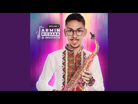 Mamă Mult Te-Ai Necăjit (feat. Petrica Brundeanu)