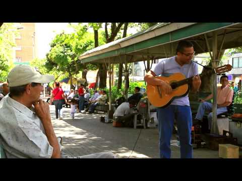 Pacho Palacio, Sol y Viento [Multitoma]
