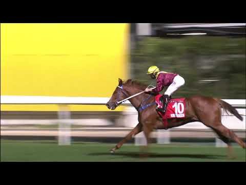 6/1/2021 (322) Kurpany  - A Badel