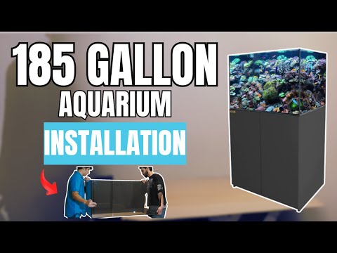 AquaDream New Coral Reef Aquarium Installation Guide