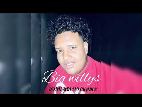 Bigg Willys - Donn Moi Mo Chance