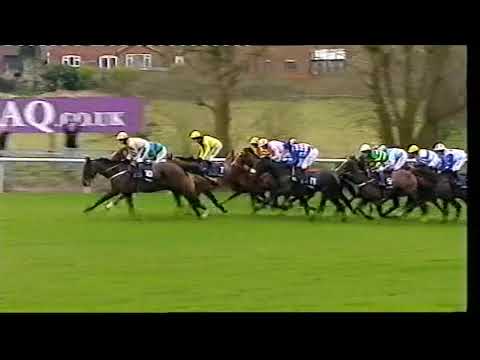 2009 Ballymore Novice Hurdle - Cheltenham Festival