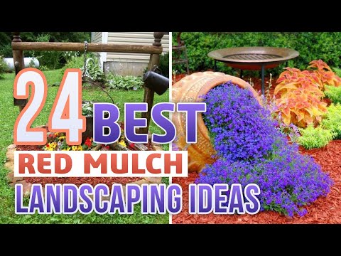 Red Mulch At Menards