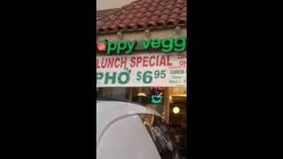 preview picture of video 'Happy Veggie Best Vegetarian Restaurant in Redondo Beach'