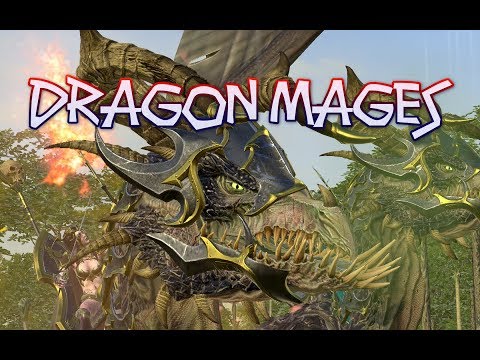 DRAGON MAGES quick battles Multiplayer (Total Warhammer 2)