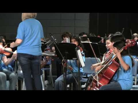 “A Taylor Swift Duo” | Bad Blood/You Belong With Me | played by Dodgen 8th Grade Orchestra