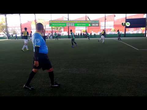 Muvuca 1 x 4 Botafarms