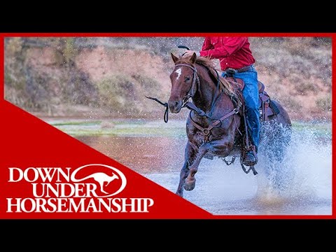 Clinton Anderson: Teach Your Horse to Cross Water - Downunder Horsemanship