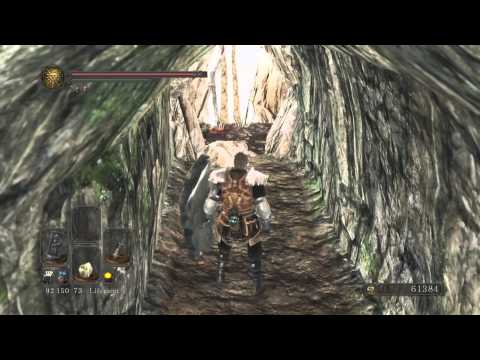 Dark Souls 2 Scholar of the First Sin Walkthrough Part 24 Gameplay Lets Play Review