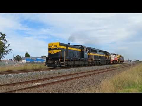 S303s first run on Standard Gauge for 63 years! SRHC Light Engine Transfers! | T357 C501 T414 S303