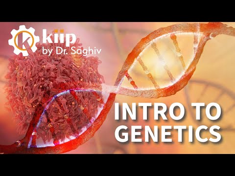 Intro to Genetics - KIIP by Dr. Saghiv