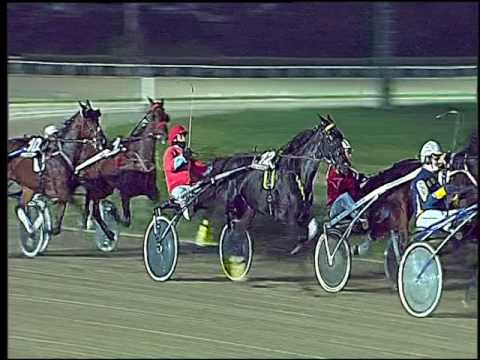 Trotto 06/11/2016 - 7ª corsa - TRIS