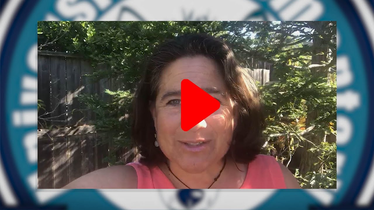 Welcome from University Elementary at La Fiestas New Principal