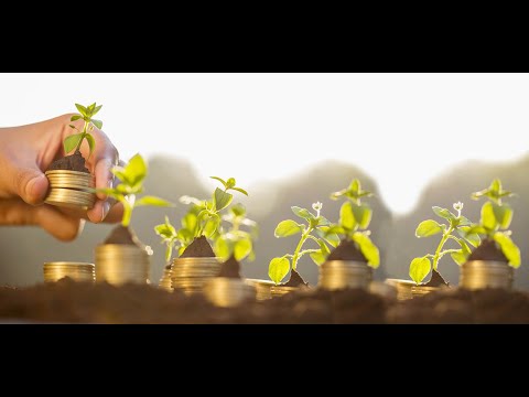 Walkthrough Walkthrough