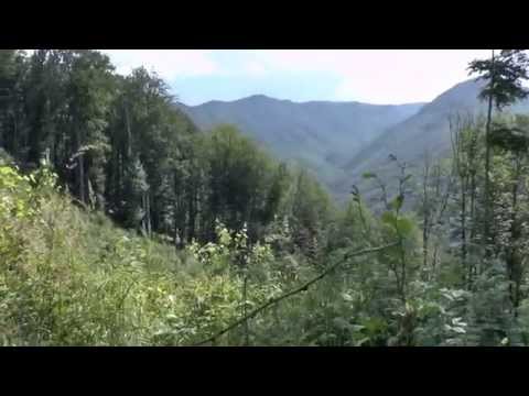 Piatra Bulzului -Blidari-Maramures.