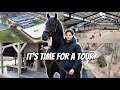 Tour Of The New Stables Update On The Home Horses