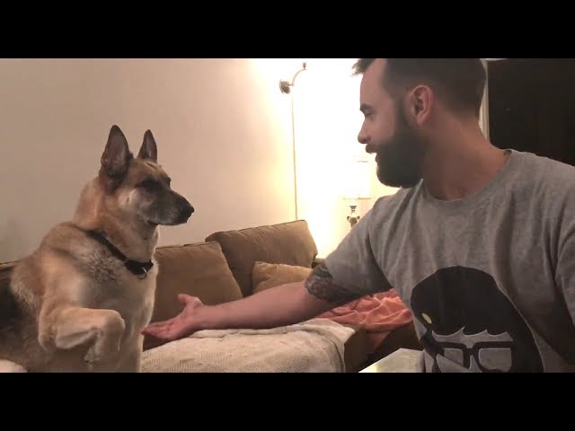 YouTube video preview