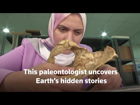 地球の秘密を一挙公開 (Uncovering Earth's secrets one webisode at a time)