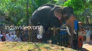 Guruvayoor Padmanabhan, the legendary elephant 