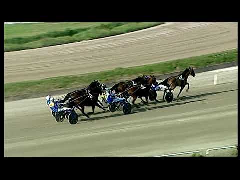 Napoli Trotto 02/04/2021 - 5ª corsa