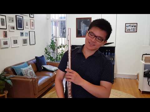 Wm. S. Haynes 10K/Ag ST RBEOC - FLUTES & FLUTISTS