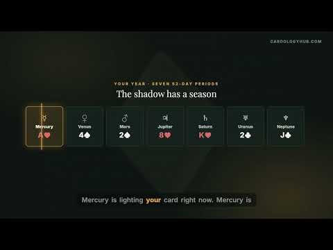 The Shadow of the 8♦ - The Businessman