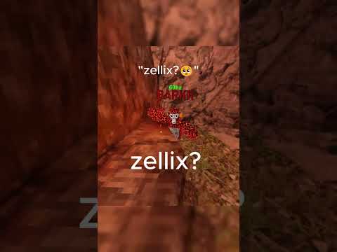 Zellix? Zellix? Yeah? Yeah?