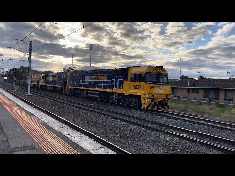 Pacific National NR37 NR104 NR75 3XM4 Steel Container train Middle Footscray Station