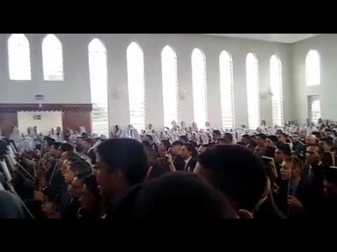 Ensaio Regional Pedregal ( ll )