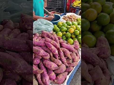 feira livre de João Alfredo