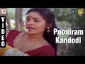 Bandhukkal Shathrukkal - Pooniram Kandodi Malayalam Song Video | Jayaram, Rohini, Mukesh