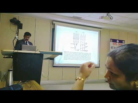 ELECTRORETINOGRAPHY IN DOGS