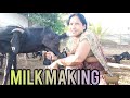 Goats Milk Milking Vlog