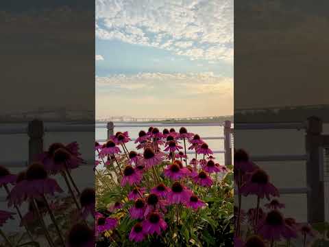 In order to write about life first you must live it. 🫶🏻🤩