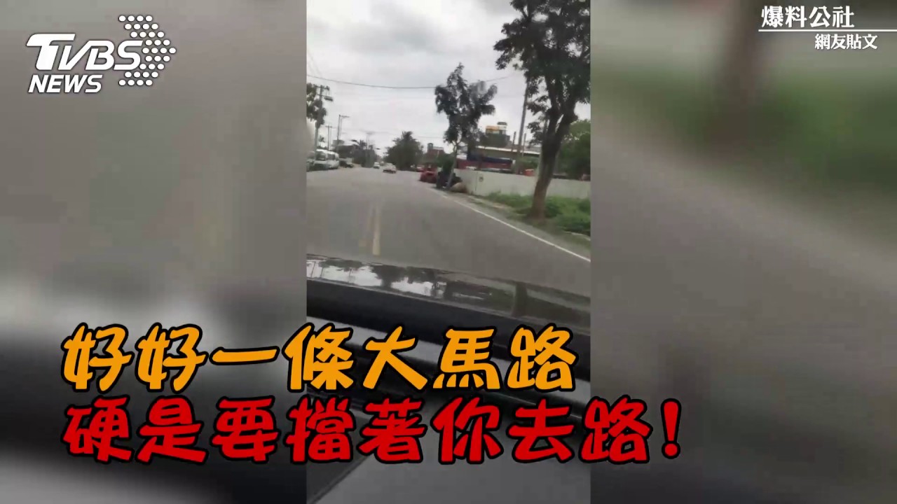 何苦!就是要糾纏?婦龜速蛇行擋車還比中指