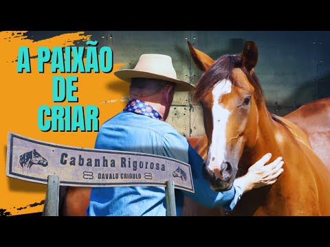 Cabanha Rigorosa: excellence in breeding Criollo horses in Santa Catarina
