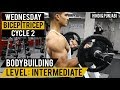 WEDNESDAY: Bigger BICEP & TRICEP Workout! Cycle 2 (Hindi / Punjabi)