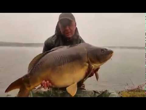 Rybnik karp 21,800 kg